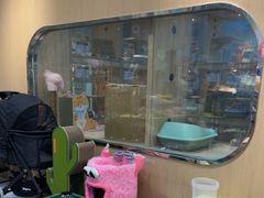 -BABIT巴比特宠物(MOMOPARK店)