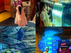 -沈阳海洋探索中心