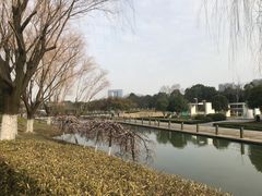 -白塘生态植物园