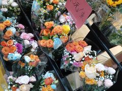 -溪岸路花鸟市场