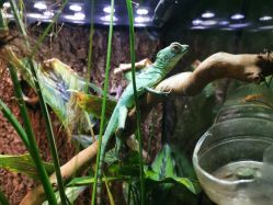 -酷嗒动物文化乐园(cutezoo西溪乐天城店)