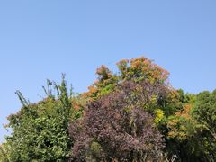 -济南大明湖景区