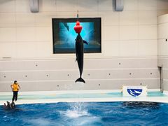 -鹿儿岛水族馆