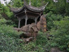 -凤栖山