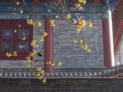 -天龙宝严素食馆(大兴善寺店)