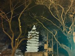-万松老人塔