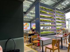 -蔡澜PHO(海岸城店)