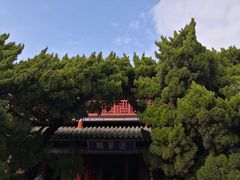 -蓬莱阁景区