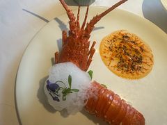 -西郊5号·Maggie 5