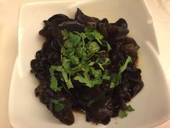 Vista黔城(新业广场店)-Vista黔城(新业广场店)