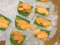 -月龍吟(朝龙汇店)