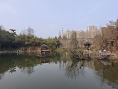 -水绘园
