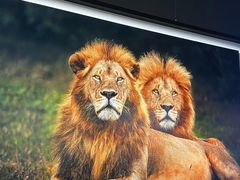 -罗红摄影艺术馆