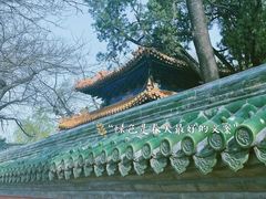 -北京国子监胡同