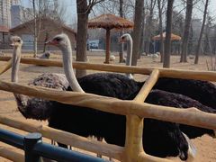 -大连森林动物园