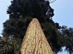 -山沟沟景区