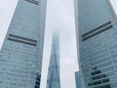 -翡翠36餐厅(浦东香格里拉店)