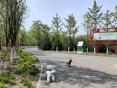 -东郊湿地公园