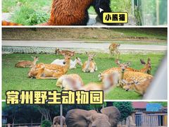 -常州淹城野生动物世界