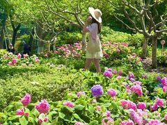 -常州古运河南大街文化旅游区-人民公园