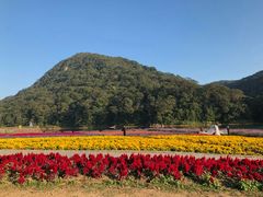 -广州市石门国家森林公园