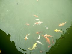 -揭东万竹园旅游景区