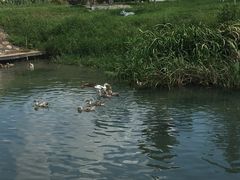 -乡乐园蟹庄·阳澄湖农家乐