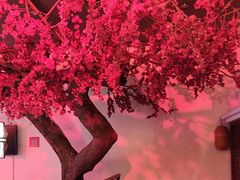 -小江南(老洋桥店)