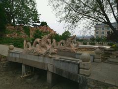 -石家庄市植物园