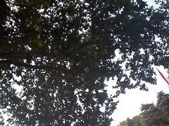 -巧手馄饨(箍桶巷店)