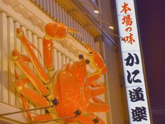 -道顿堀