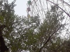 -青城公园