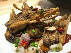-怪怪龙虾·澳洲蓝龙王·深夜食堂(惊驾路店)