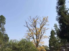 -金堂县云顶石城风景区