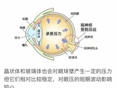 -宝视达眼镜(公园道店)