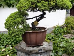 -水绘园