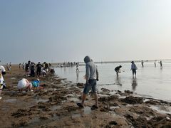 -刘家湾赶海园