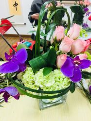 -爱尔乐美孕产瑜伽·普拉提