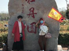 -曹州牡丹园