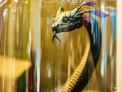 -drivepro(三里屯店)