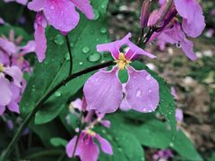 -江苏三台山国家森林公园