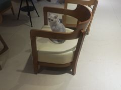 -藏猫猫咖啡主题馆(中央大道店)