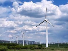 -清真喜兰老丁羊汤特色小吃