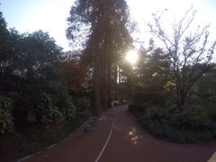 -兰溪青年公园