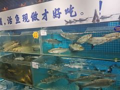 -胖姐渔村(中源大道店)