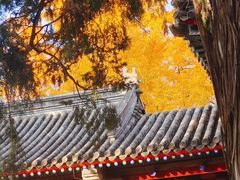 -承恩寺
