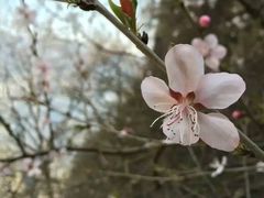 -神农山景区