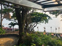 -卷心菜和避孕套餐厅(Pattaya)
