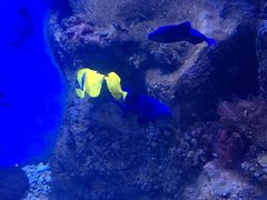 -鄂尔多斯野生动物园