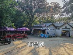 -紫金山山顶公园